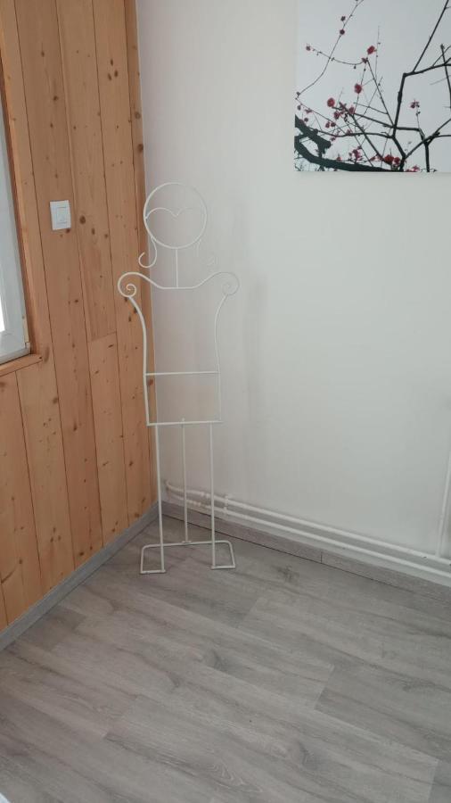 L'Ecrin Des Vosges Appartement Gérardmer Buitenkant foto